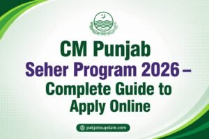 CM Punjab Seher Program 2026 – Complete Guide to Apply Online
