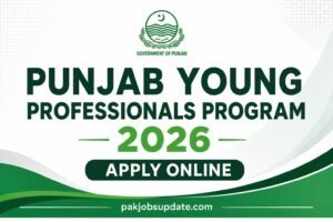 Punjab Government Young Professionals Program