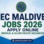 OEC Maldives Jobs